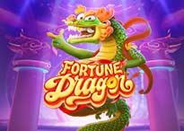AMB fortune dragon