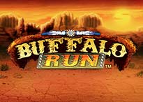 HB TPBuffaloRun